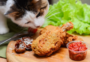 can cats eat chicken nuggets
