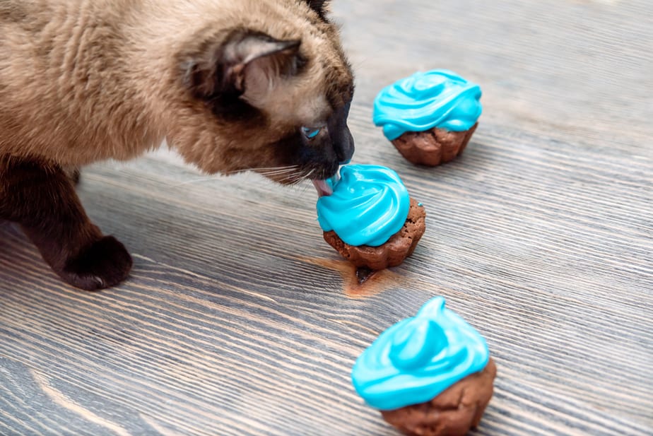 Kediler Yabanmersinli Muffin Yiyebilir mi? Kediler İçin Sağlıklı mı?
