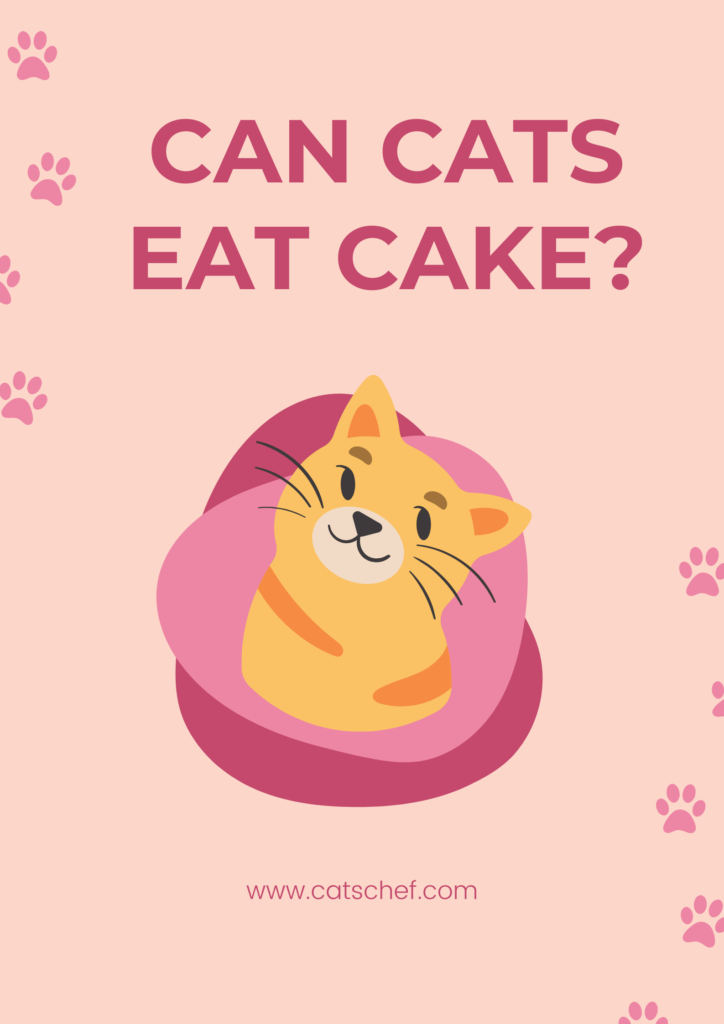 Can Cats Eat Cake? Before You Invite Her To A Party, Read This