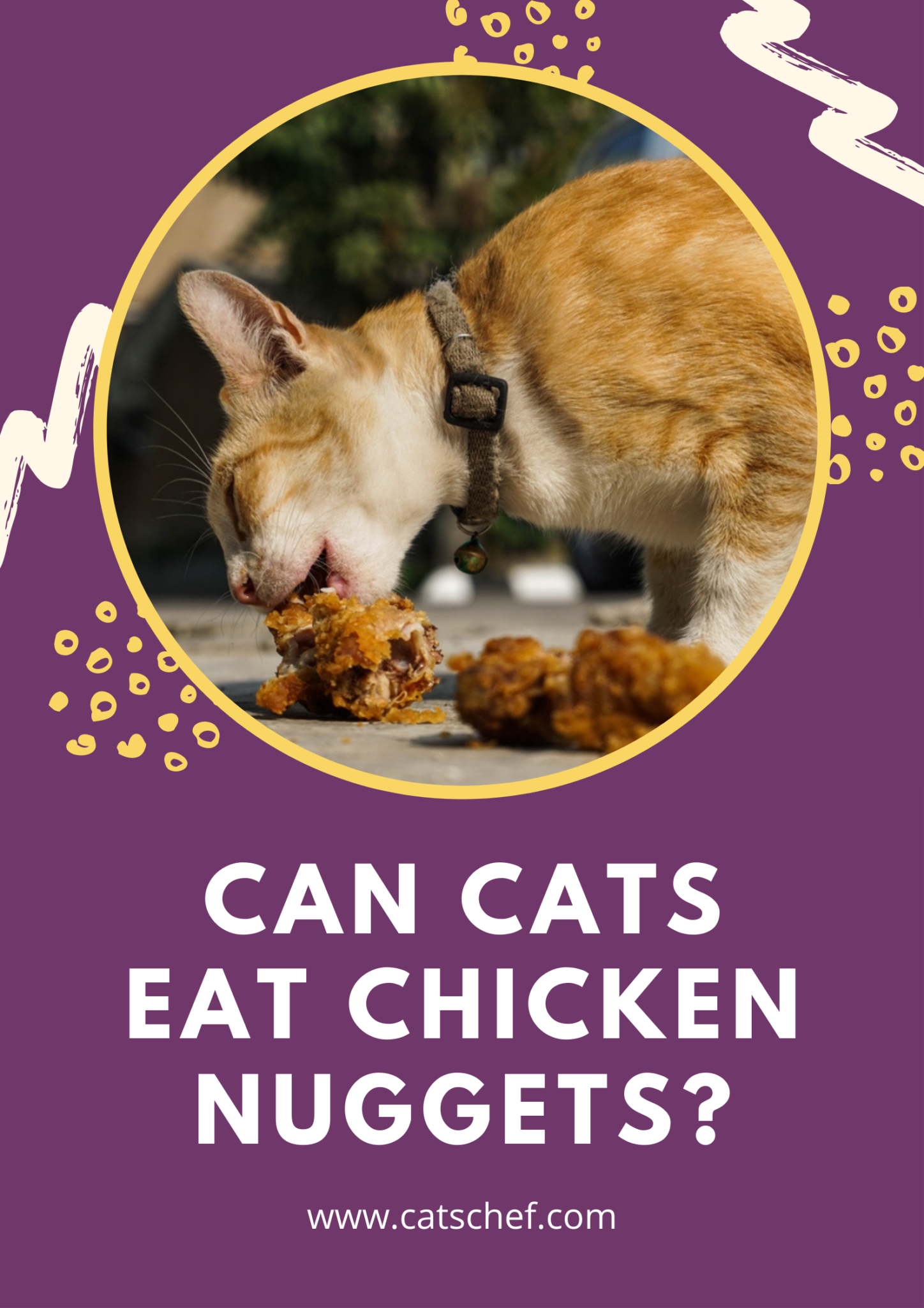 Can Cats Eat Chicken Nuggets? The Crunchy Treat And Its Dangers