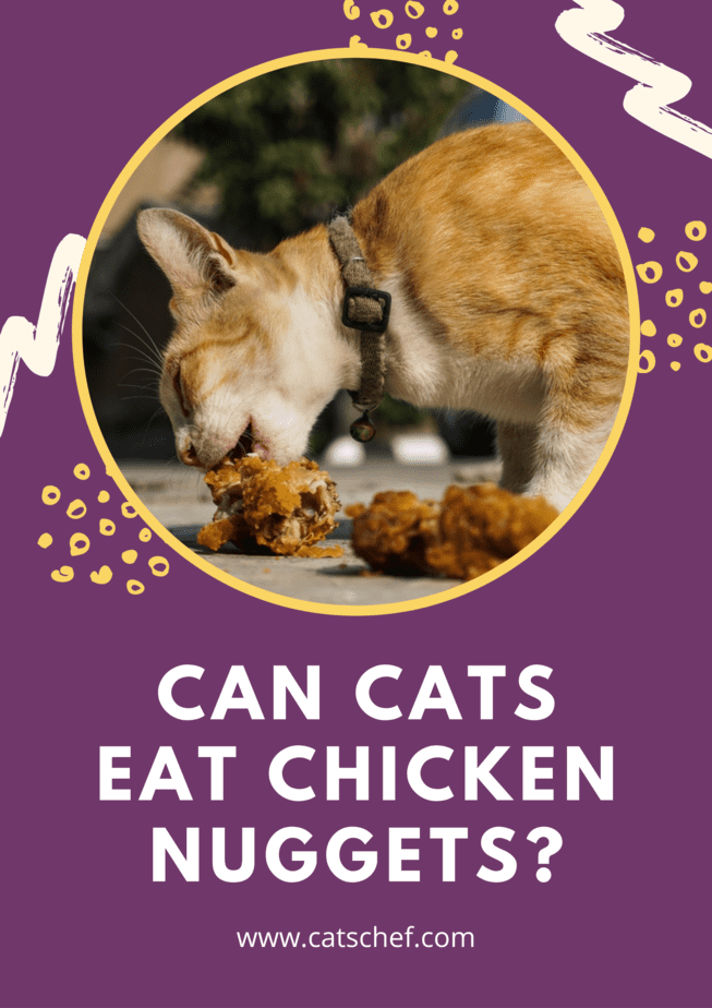 Can Cats Eat Chicken Nuggets?