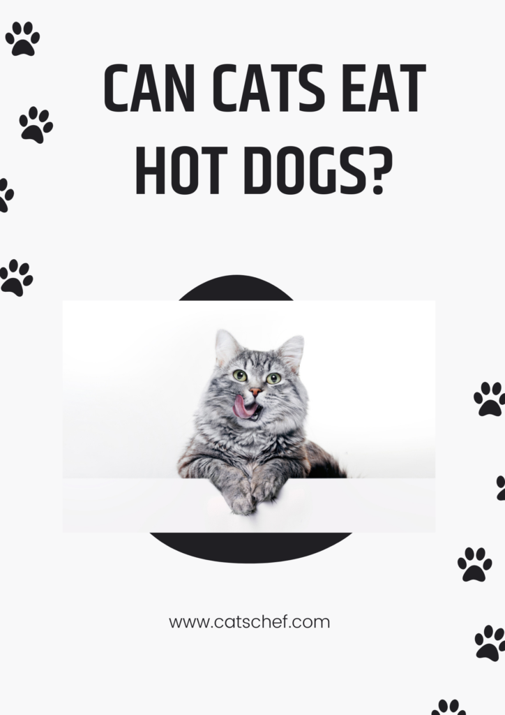 Can Cats Eat Hot Dogs? Here’s Why They’re So Dangerous