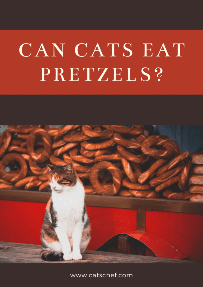 Can Cats Eat Pretzels?