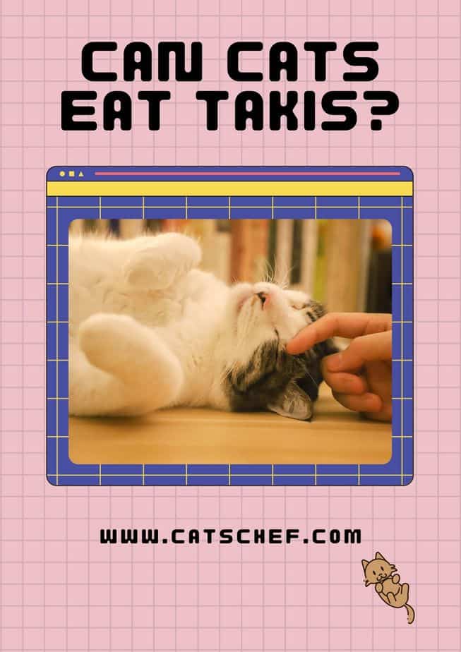 Kediler Takis Yiyebilir mi?