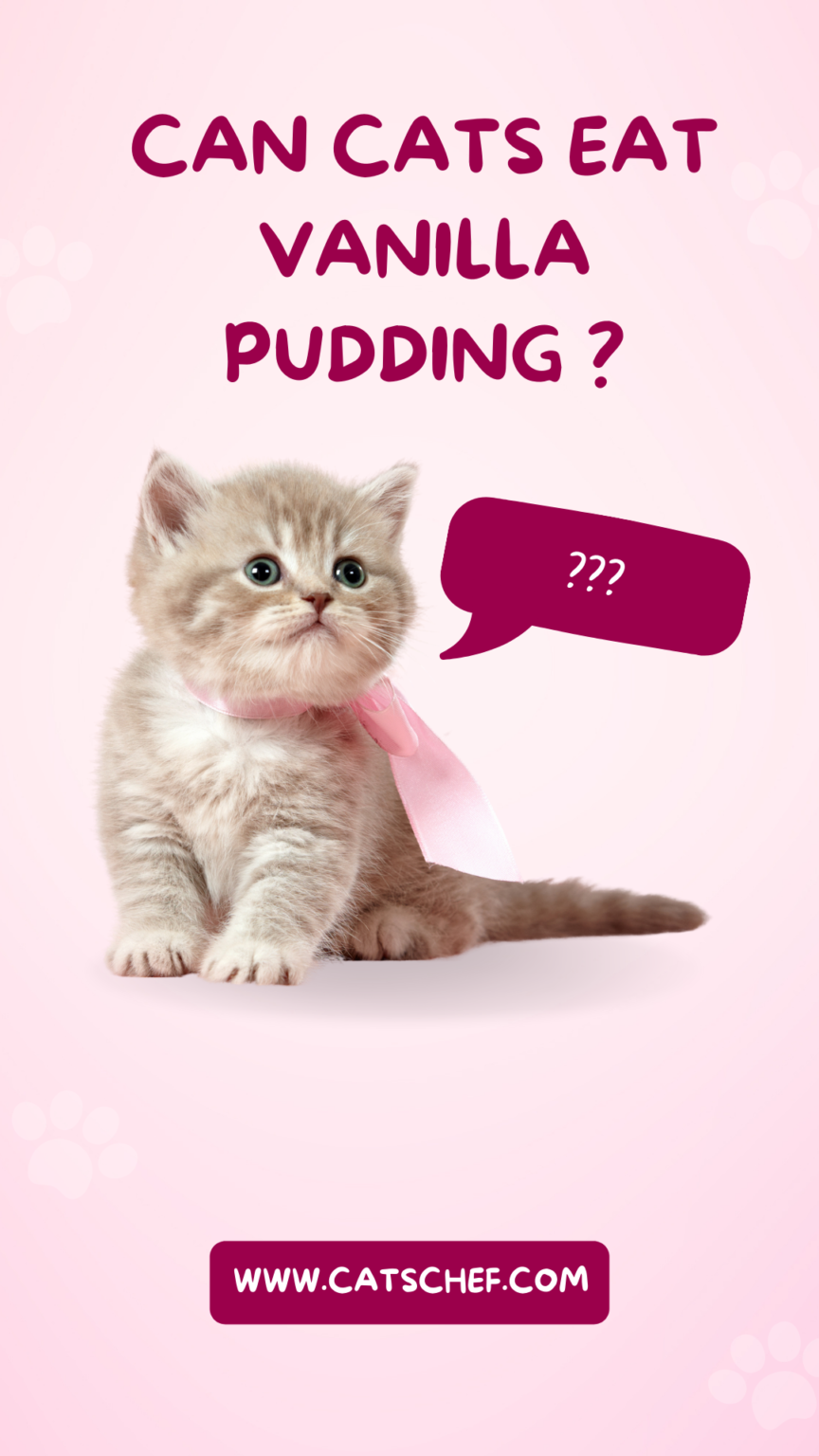 Can Cats Eat Vanilla Pudding? Green Or Red Light?