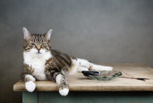 Can cats eat fish bones?