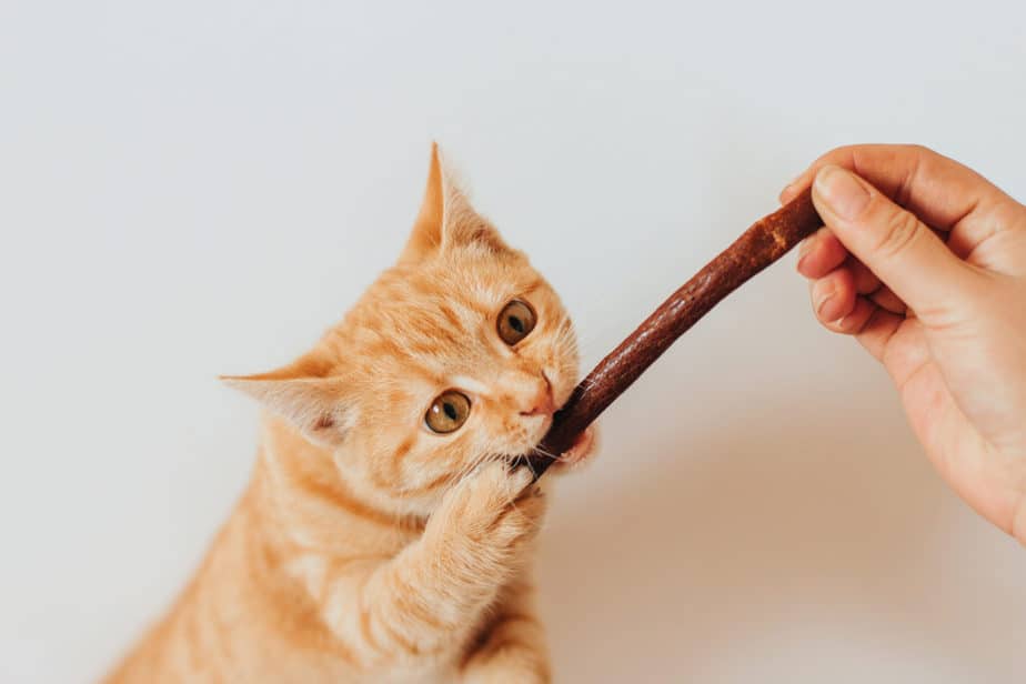 Kediler Slim Jims Yiyebilir mi? Bırakın ya da Verin?