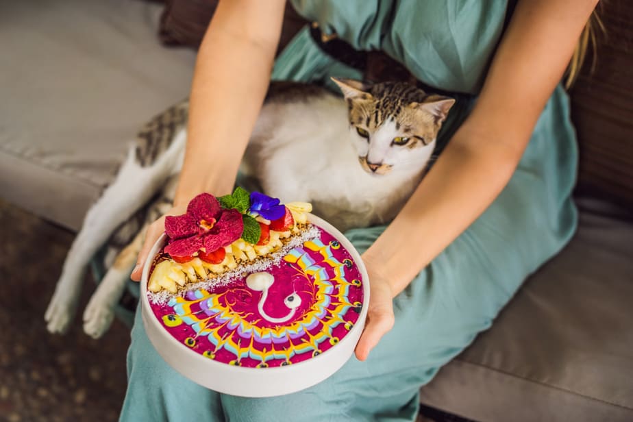 Kediler Chia Tohumu Yiyebilir mi? Süper Gıda mı Süper Riskli mi?