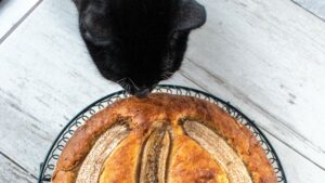 can cats eat banana bread