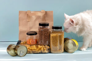 Can cats eat lentils?