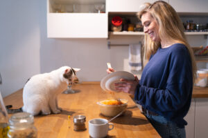 can cats eat carrot cake