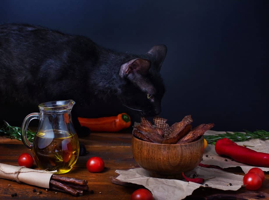 Kediler Sığır Eti Yiyebilir mi? İyi veya Tehlikeli Yiyecek? 