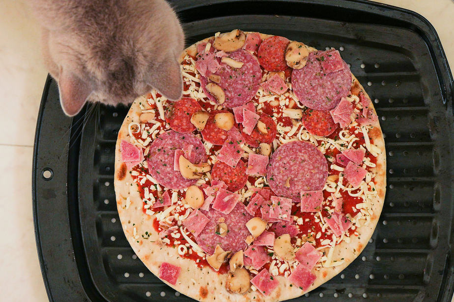Kediler Pepperoni Yiyebilir mi? Bilmeniz Gereken Her Şey!