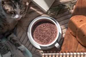 can cats eat chocolate pudding