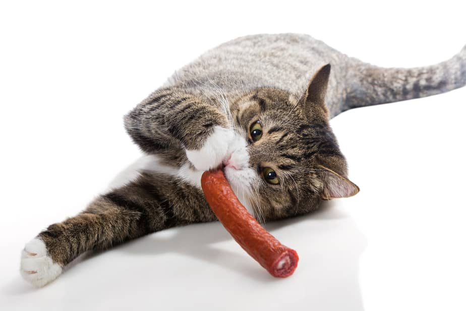 Can Cats Eat Slim Jims? Leave Them Or Give Them?