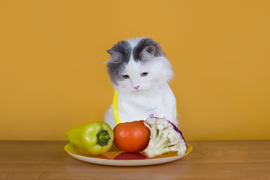 Can Cats Eat Green Peppers? Is This Vegetable Safe?