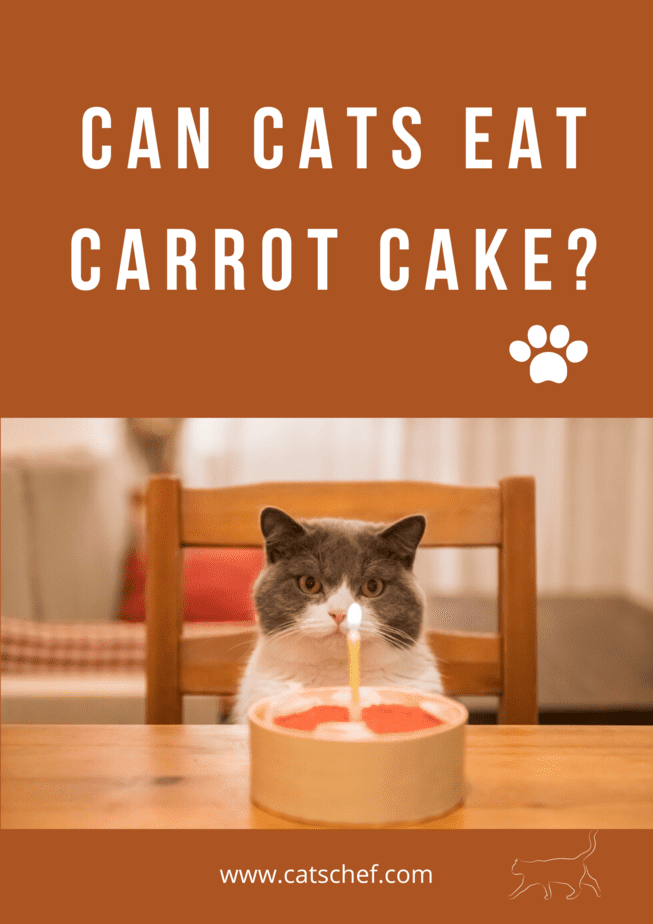 Kediler Havuçlu Kek Yiyebilir mi?
