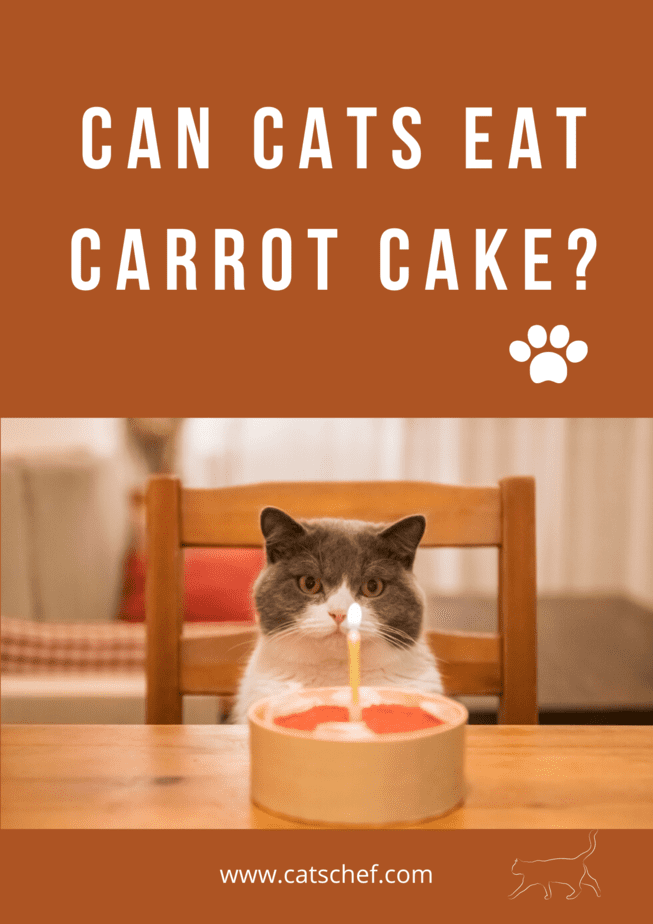 Can Cats Eat Carrot Cake?