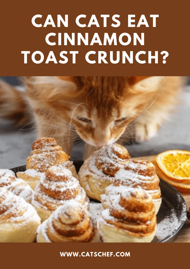 Can Cats Eat Cinnamon Toast Crunch?