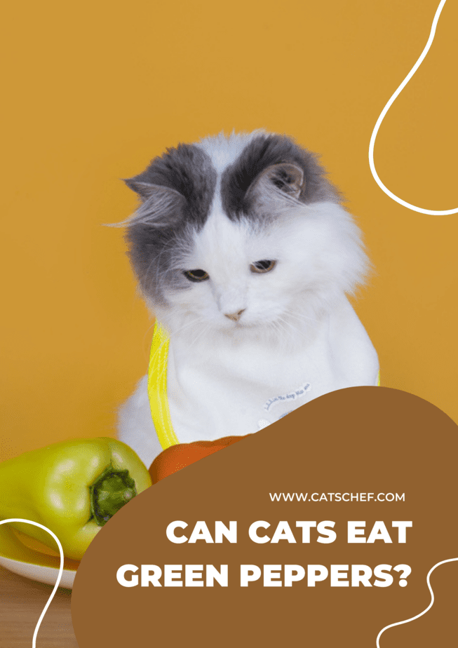 Can Cats Eat Green Peppers?