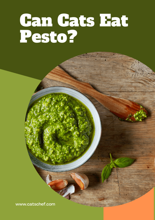 Can Cats Eat Pesto?