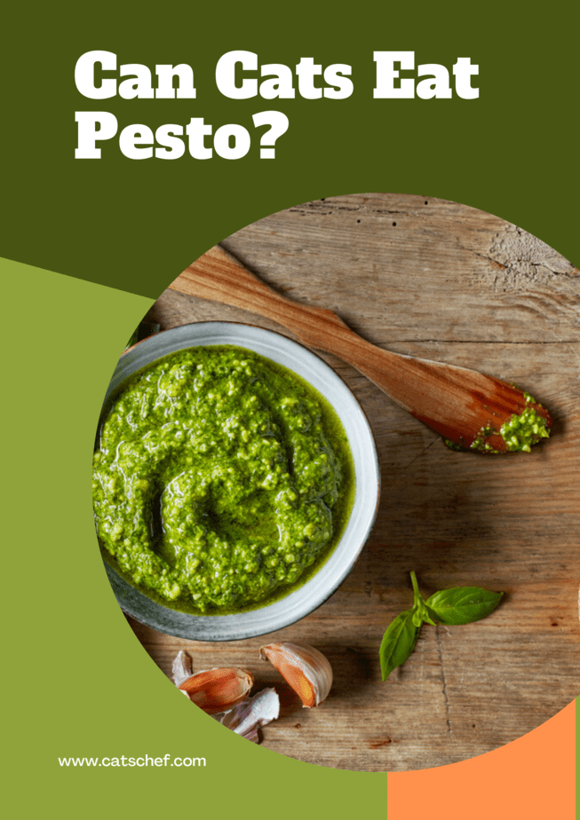 Kediler Pesto Yiyebilir mi?