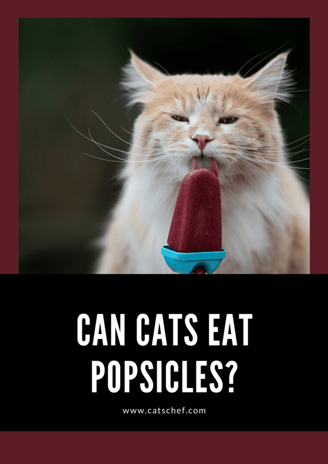 Can Cats Eat Popsicles?