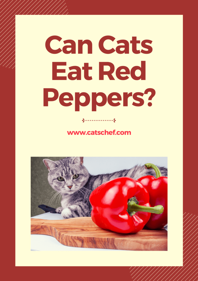 Can Cats Eat Red Peppers?