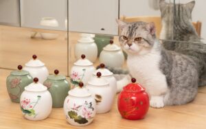 Can cats eat pickles?
