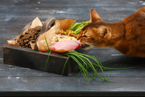 can cats eat green beans