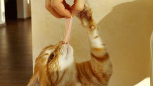 Can cats eat liverwurst