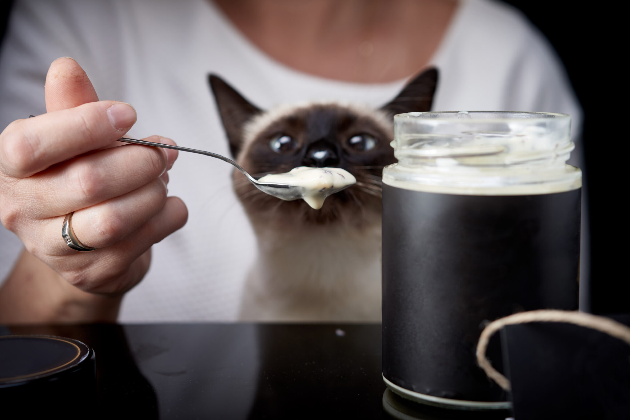 Can Cats Eat Ranch? Will It Cause A Tummy Avalanche?