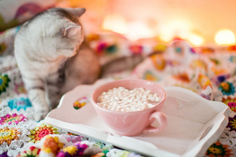 Can Cats Eat Marshmallows? A Sweet Treat Or A Call To Retreat?