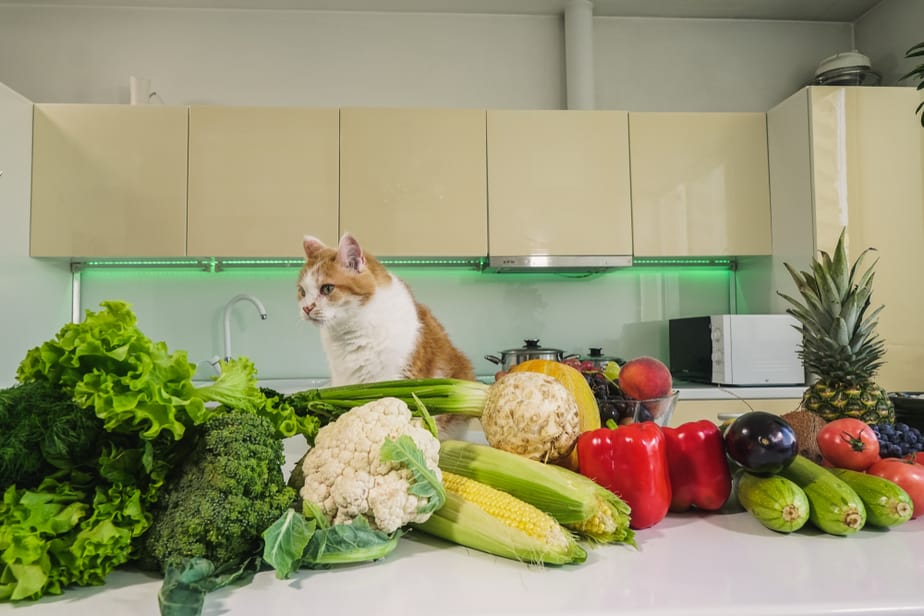 Can Cats Eat Green Beans? Do Cats Like These Greens?