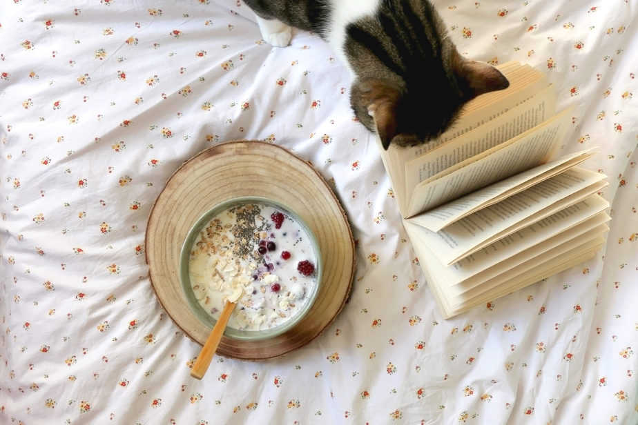 Kediler Granola Yiyebilir mi? İyi Bir Kahvaltı Seçimi midir? 