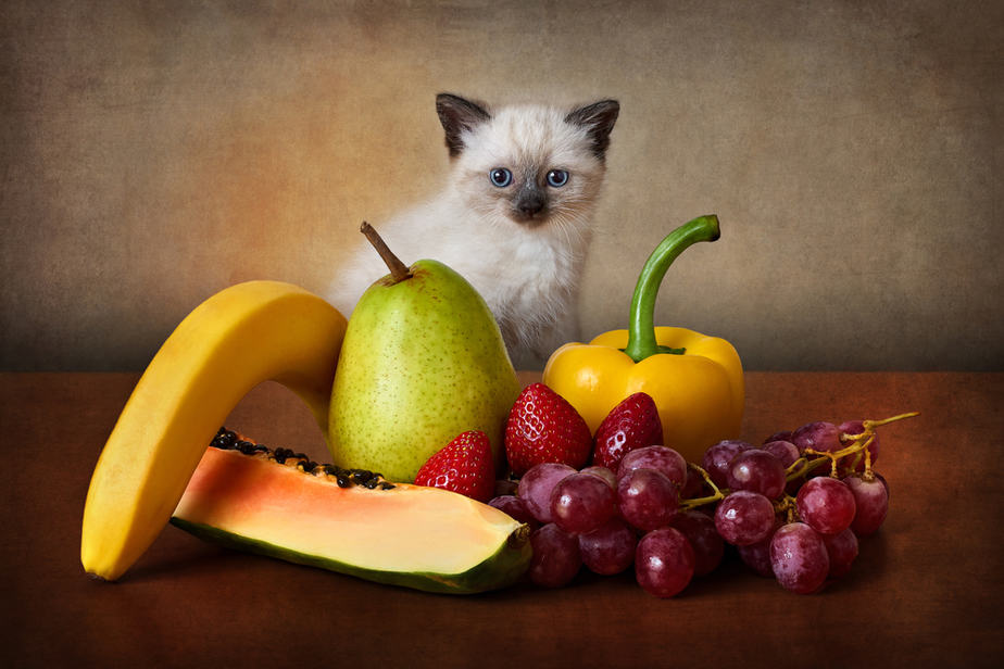 Kediler Papaya Yiyebilir mi? Bu Meyve Hakkında Bilmeniz Gereken Her Şey!