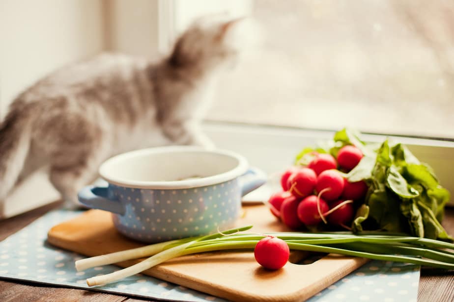 Can Cats Eat Radishes? Is This Root Safe For Your Snoot?