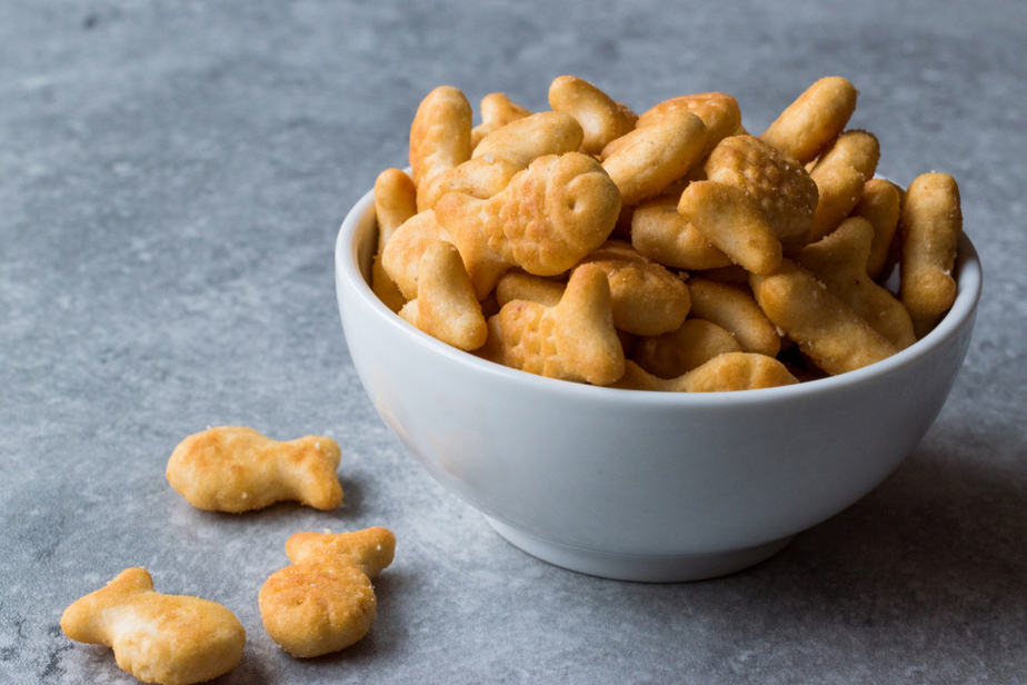 Can Cats Eat Goldfish Crackers? Are They Safe To Eat?