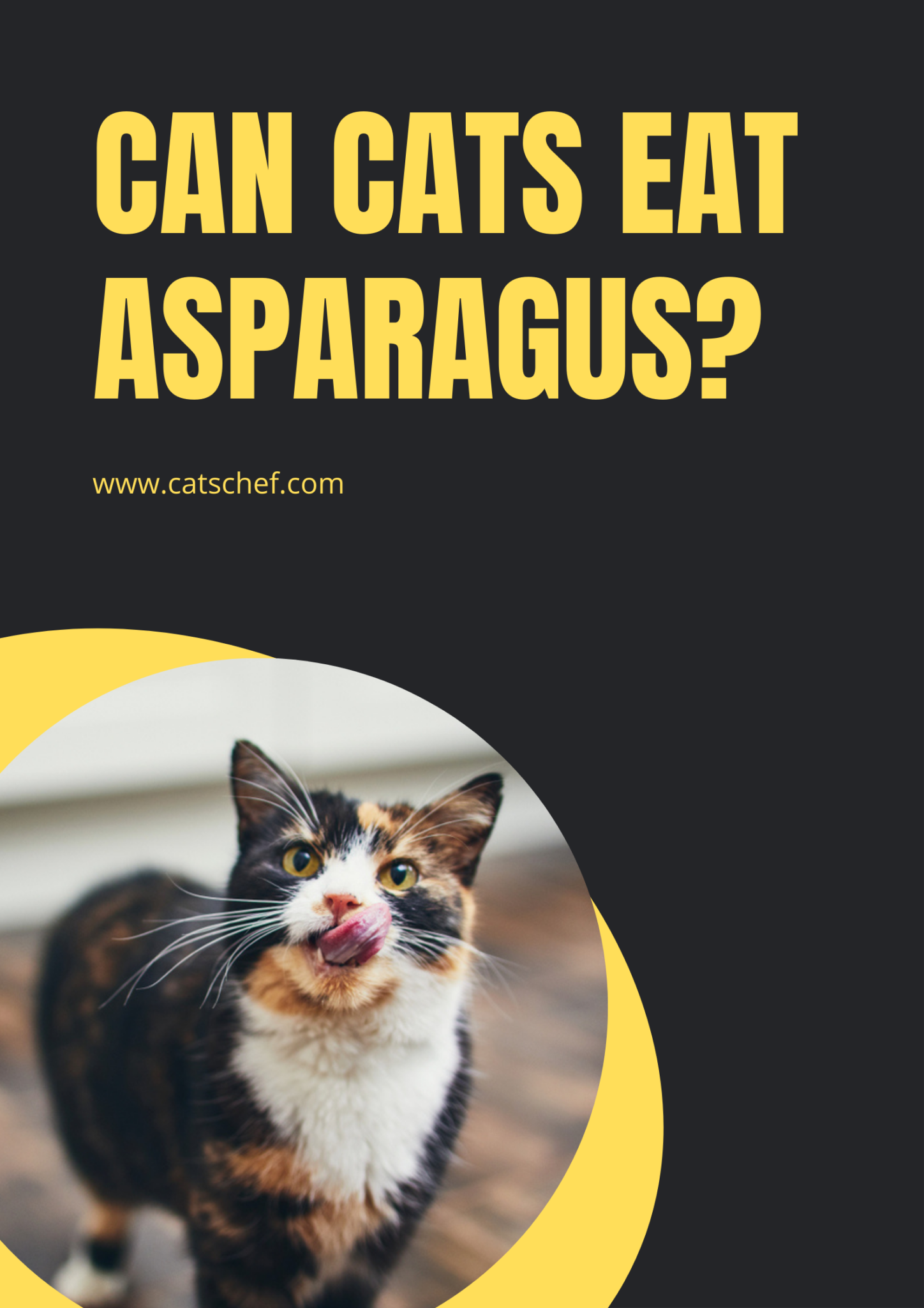 Can Cats Eat Asparagus? Superfood Or Super Rude To Cats?