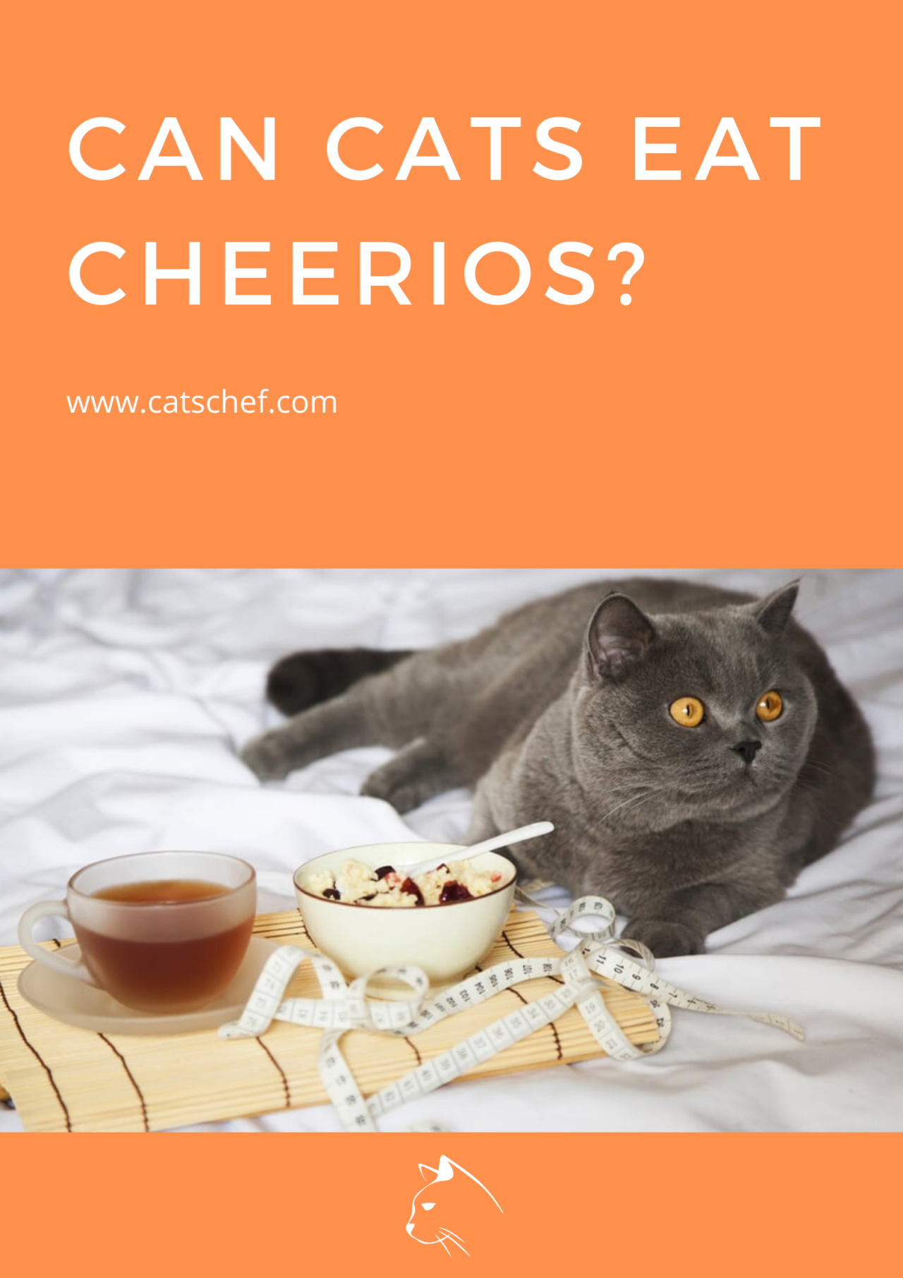 can-cats-eat-cheerios-are-there-any-risks