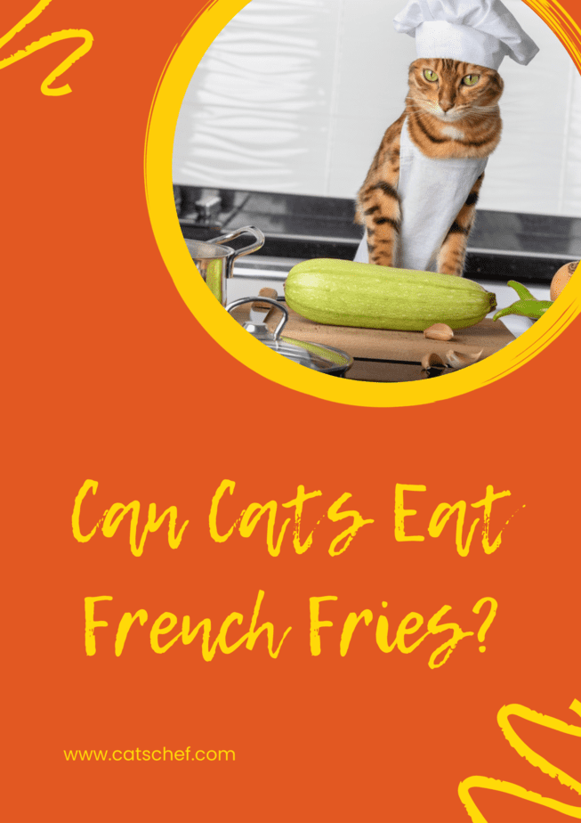 Can Cats Eat French Fries?