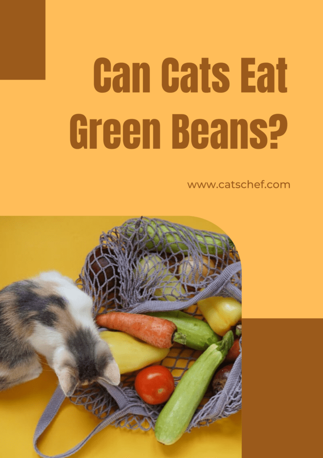 Can Cats Eat Green Beans?