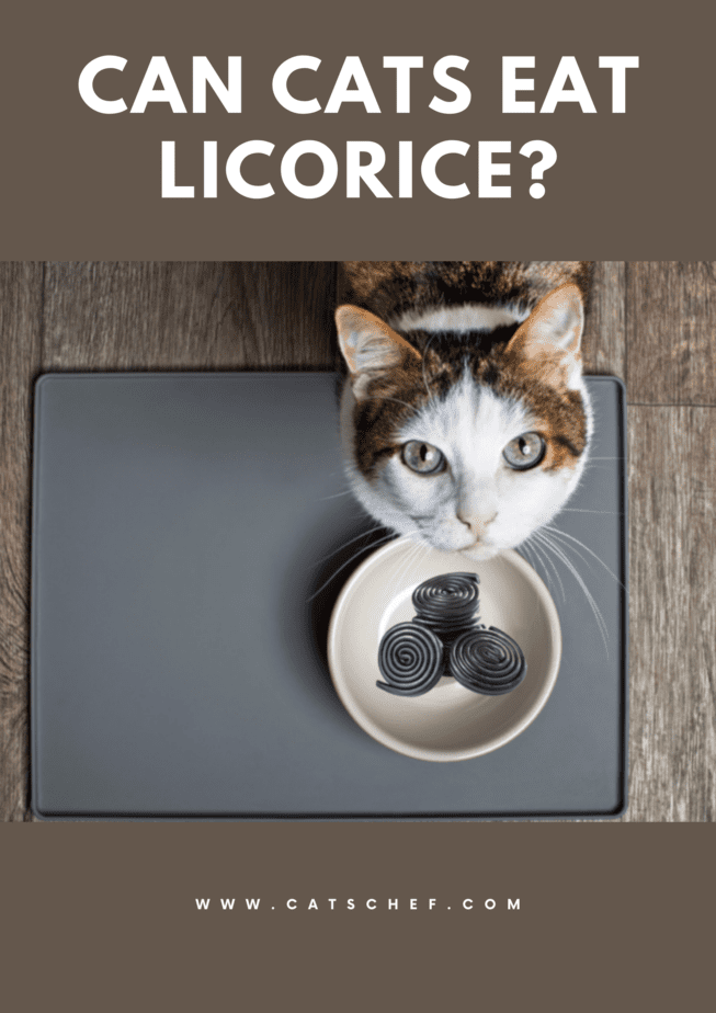 Can Cats Eat Licorice?