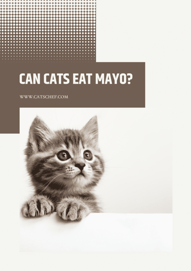 Can Cats Eat Mayo?