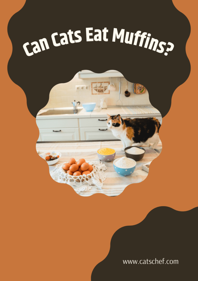 Can Cats Eat Muffins?