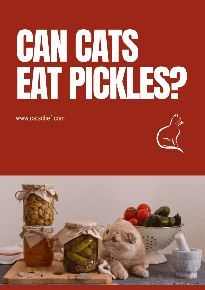 Can Cats Eat Pickles?