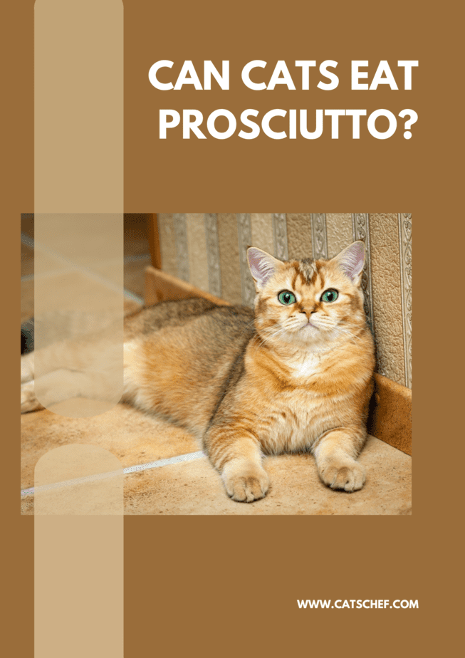 Can Cats Eat Prosciutto?