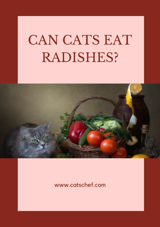 Can Cats Eat Radishes? Is This Root Safe For Your Snoot?