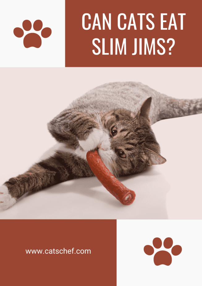 Kediler Slim Jims Yiyebilir mi?