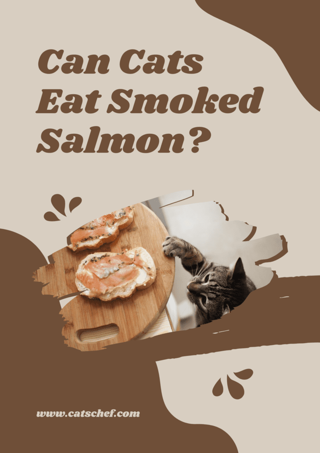 Kediler Somon Füme Yiyebilir mi?